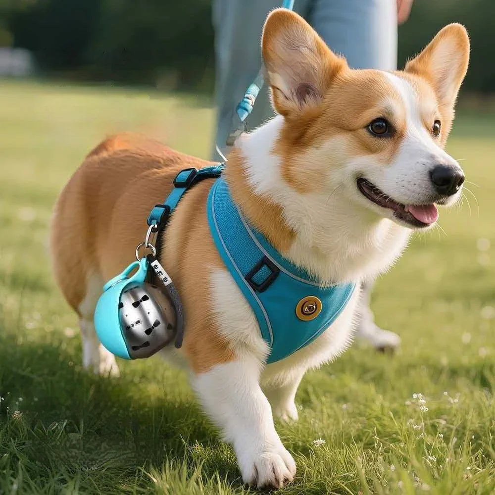 Portable Pet Hydration Buddy
